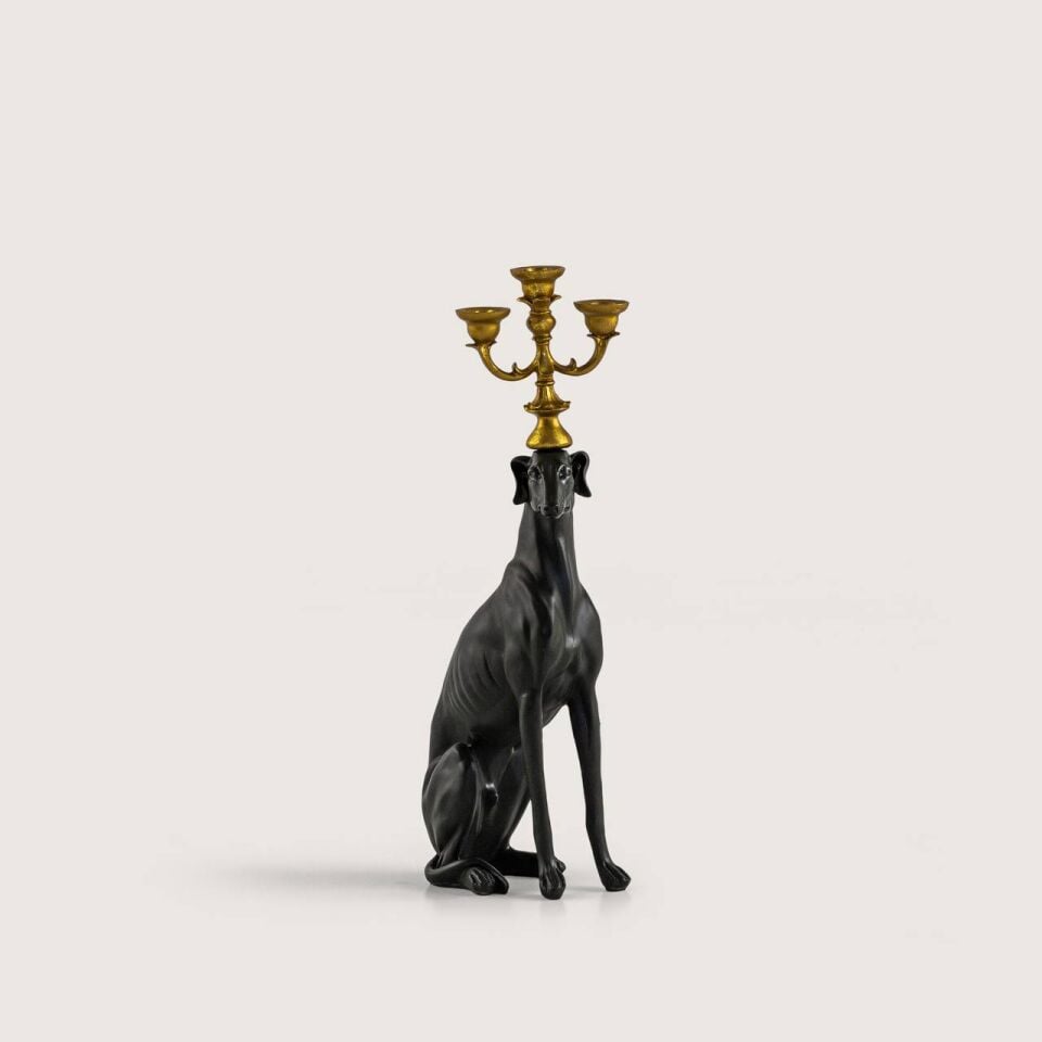 Dev Şamdanlı Köpek